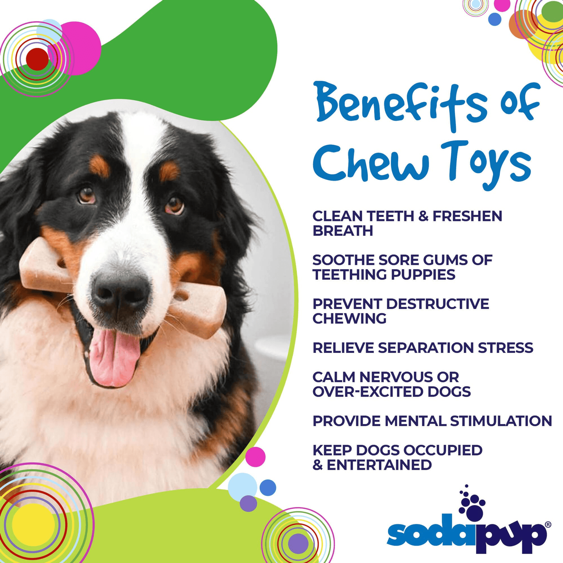 SP MOD Bone Ultra-Durable Chew Toy for Aggressive Dogs-4